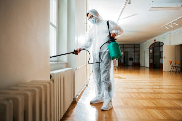 Best Affordable Pest Control Services  in Driggs, ID